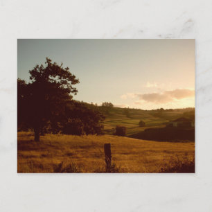 Tasmanian Summer Sunset Postkarte