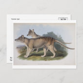 Tasmanian Tiger Postcard Postkarte (Vorne/Hinten)