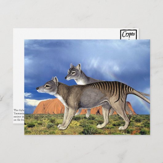 Tasmanian Tiger Postkarten (Vorne/Hinten)