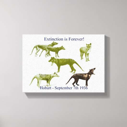 Tasmanian Tiger Thylacine Canvas Print Leinwanddruck (Vorderseite)