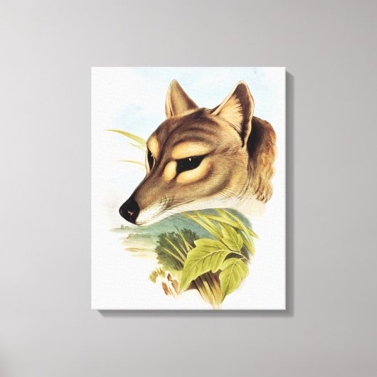 Tasmanian Wolf oder Tiger Leinwanddruck (Vorderseite)