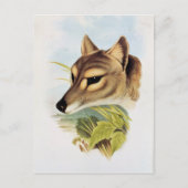 Tasmanian Wolf oder Tiger Postkarte (Vorderseite)