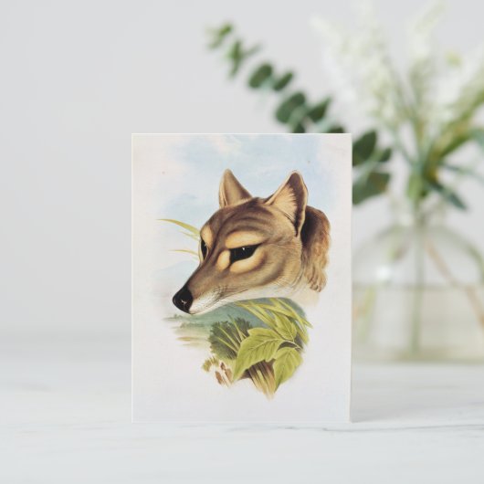 Tasmanian Wolf oder Tiger Postkarte (Stehend Vorderseite)