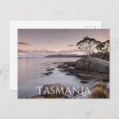 Tasmanie (8) postkarte (Vorne/Hinten)