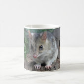 Tasmaniens Quoll Kaffeetasse (Mittel)