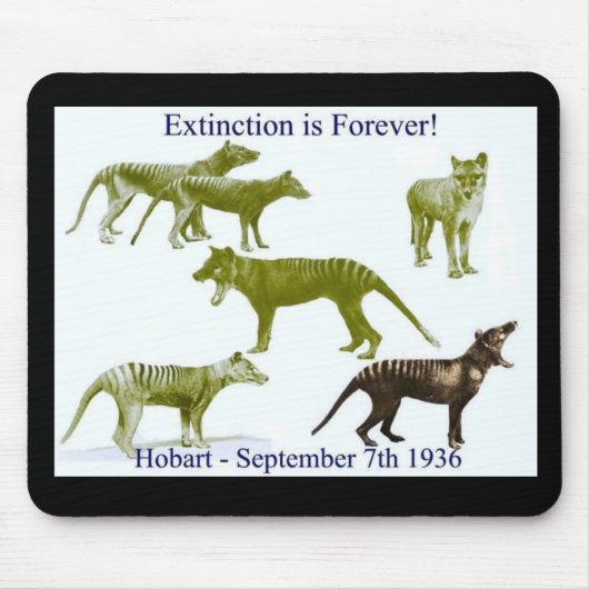 Tasmanische Tigerthylacine-Mausunterlage Mousepad (Vorne)