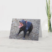 Tasmanischer Teufel-alles- Gute zum Karte (Rückseite)