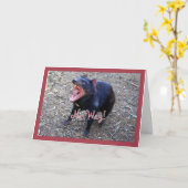 Tasmanischer Teufel-alles- Gute zum Karte (Gelbe Blume)