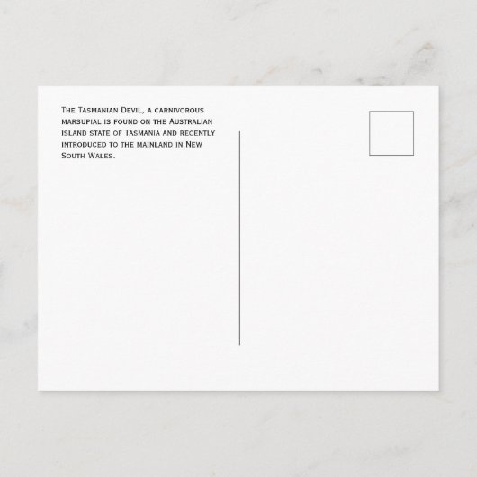 Tasmanischer Teufel im Gras, Tasmanien, Australien Postkarte (Rückseite)