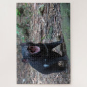 Tasmanischer Teufel in Tasmanien Australien, 1014 Puzzle (Vertikal)