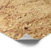 Tasmanischer Teufel posiert für Foto Poster (Ecke)