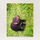 Tasmanischer Teufel Puzzle (Vertikal)