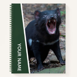 Tasmanischer Teufel, Tasmanien, Australien, Grün Notizblock