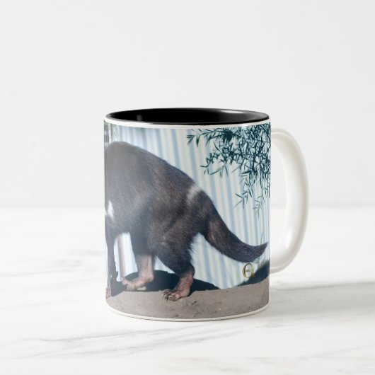 Tasmanischer Teufel Zweifarbige Tasse (VorderseiteRechts)