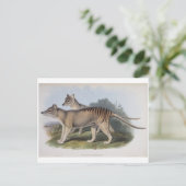 Tasmanischer Tiger Postkarte (Stehend Vorderseite)