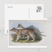 Tasmanischer Tiger Postkarte (Vorne/Hinten)