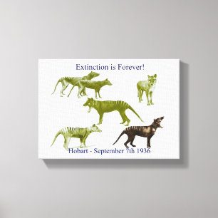 Tasmanischer Tigerthylacine-Leinwand-Druck Leinwanddruck