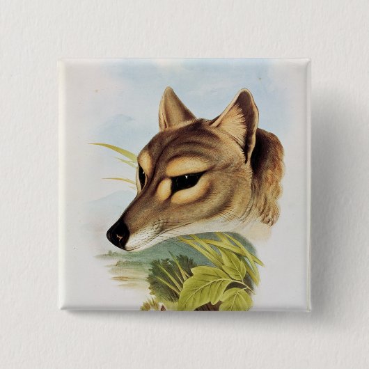 Tasmanischer Wolf oder Tiger Button (Vorderseite)