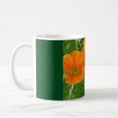 Tasse (Links)