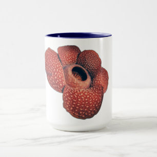 Tasse