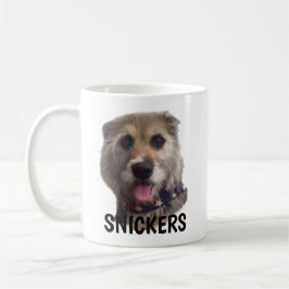 Tasse