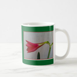 Tasse