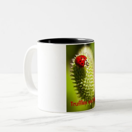 Tasse (Vorderseite Links)