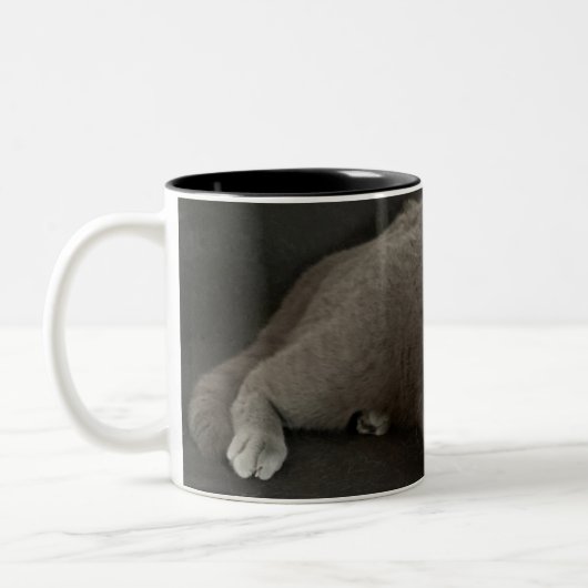 Tasse (Links)