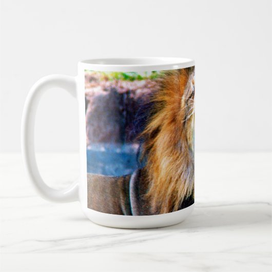 Tasse (Links)