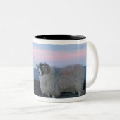 Tasse (VorderseiteRechts)