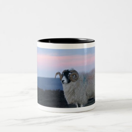Tasse (Mittel)