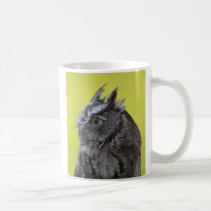 Tasse