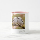 Tasse (Zentrum)