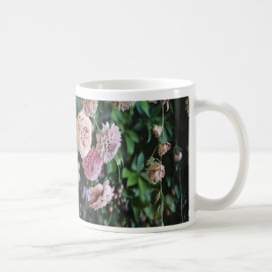 Tasse