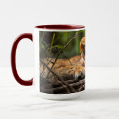 Tasse (Links)