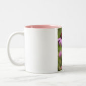Tasse (Links)