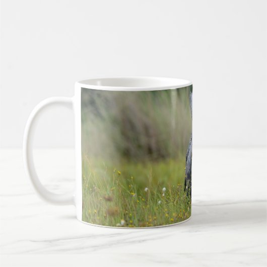 Tasse (Links)