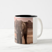 Tasse (VorderseiteRechts)