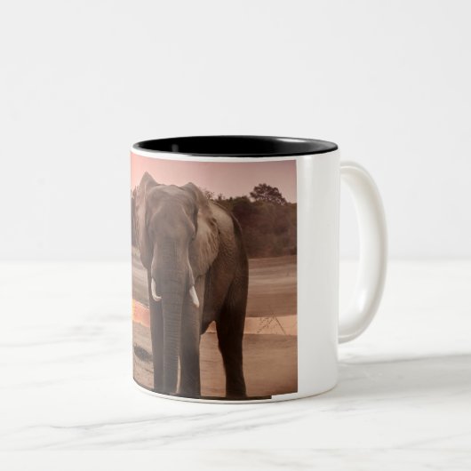 Tasse (VorderseiteRechts)