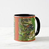 Tasse (VorderseiteRechts)