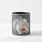Tasse (Zentrum)