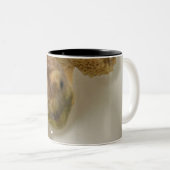 Tasse (VorderseiteRechts)