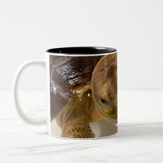 Tasse (Links)