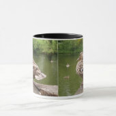 Tasse (Zentrum)