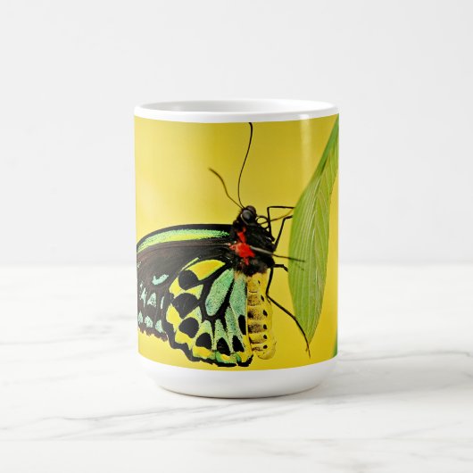 Tasse (Mittel)