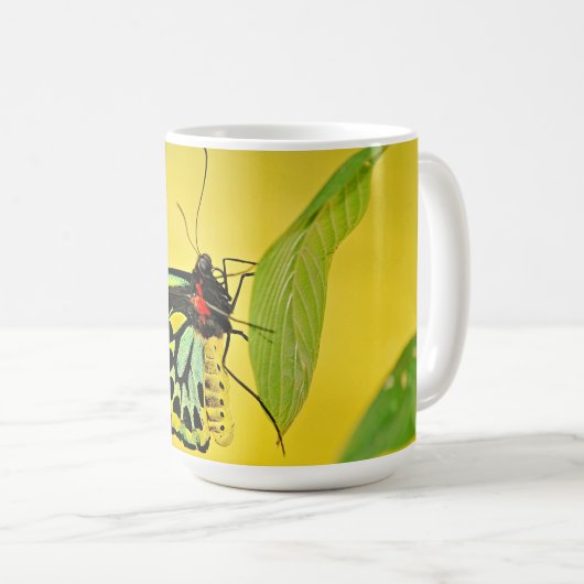 Tasse (VorderseiteRechts)