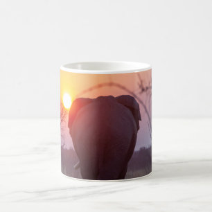Tasse