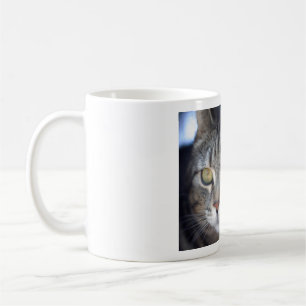 Tasse