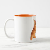 Tasse (Links)