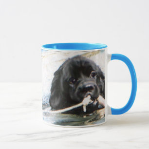 Tasse